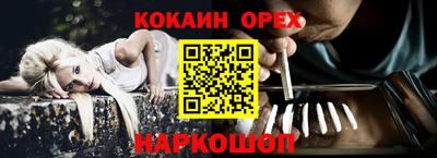 сатива Новокубанск