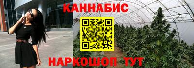 бошки Новодвинск
