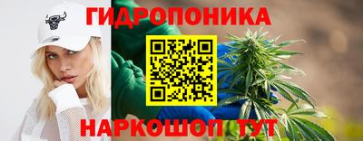 бошки Новодвинск