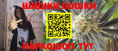 сатива Новокубанск