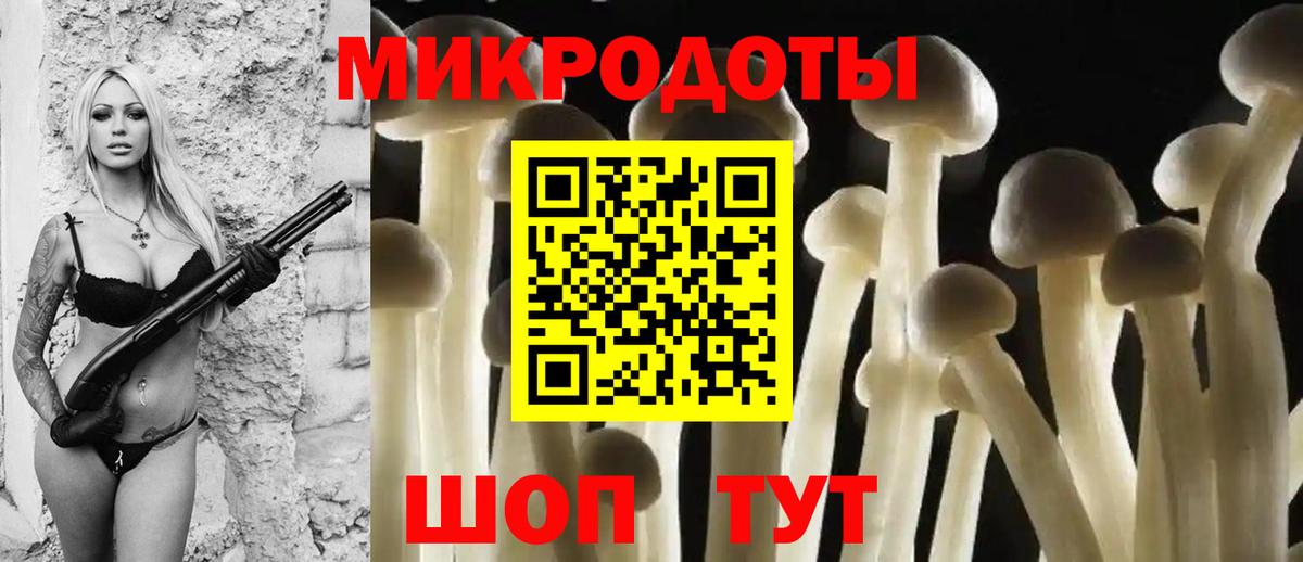 Галлюциногенные грибы мухоморы  Псилоцибиновые грибы мицелий  Вход с VPN  Ставрополь 